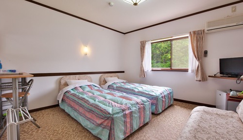 Habitación Deluxe con 2 camas individuales (with Sofa Bed)