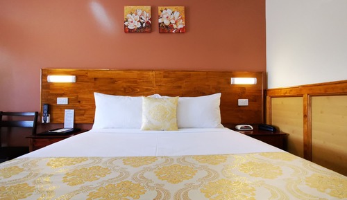Suite familiar, patio, planta baja
