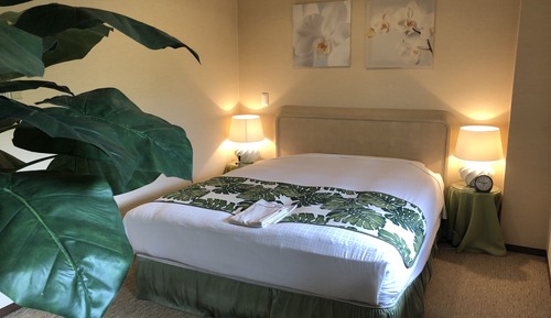 Habitación estándar doble (Tropical Style)