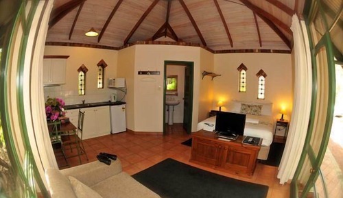 Estudio estándar, no fumadores, cocina (Studio)