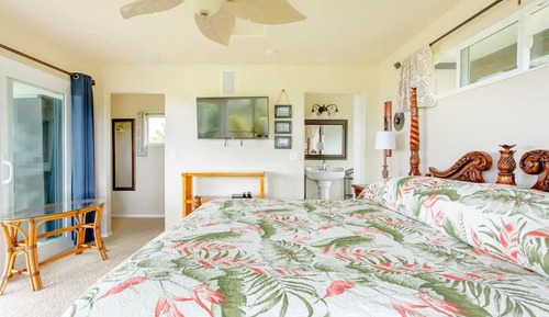 Habitación panorámica, 1 habitación