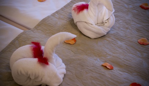 Habitación con 1 cama doble o 2 individuales (Wellness Spa package)