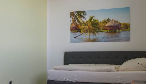 Habitación individual estándar