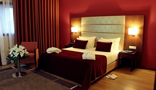 Suite estudio