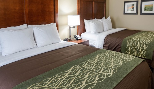 Suite, varias camas, no fumadores