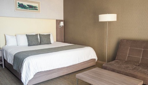 Habitación estándar, 1 cama de matrimonio grande