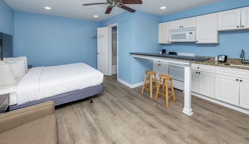 Habitación, 1 cama de matrimonio grande con sofá cama (Efficiency)