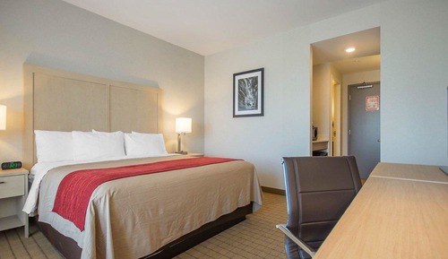 Habitación estándar, 1 cama de matrimonio grande, no fumadores (No Pets)