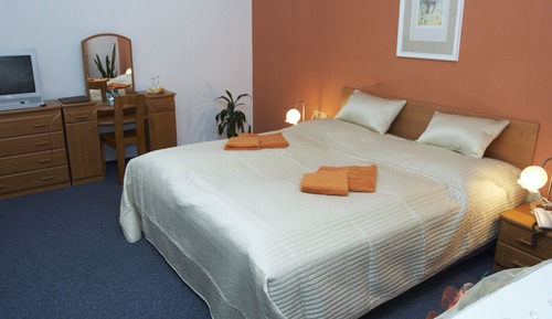 Habitación estándar con 1 cama doble o 2 individuales, baño privado
