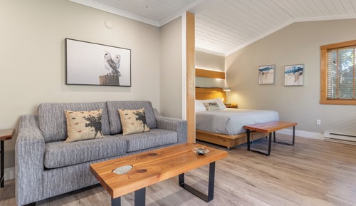 Suite básica, 1 cama de matrimonio grande con sofá cama