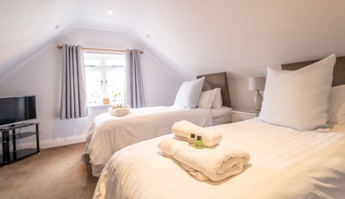 Habitación Deluxe con 2 camas individuales, baño privado