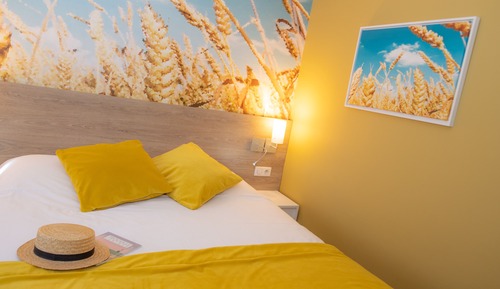 Habitación clásica, 1 cama doble