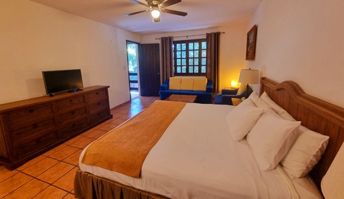 Suite estudio junior, 1 cama de matrimonio grande, frigorífico, vistas al jardín