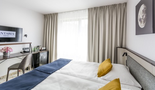 Habitación Deluxe con 2 camas individuales