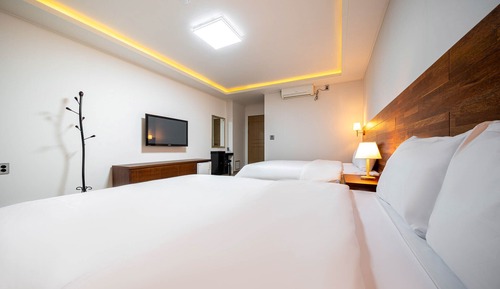 Habitación Deluxe con 2 camas individuales