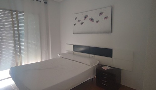 Basic Single Room