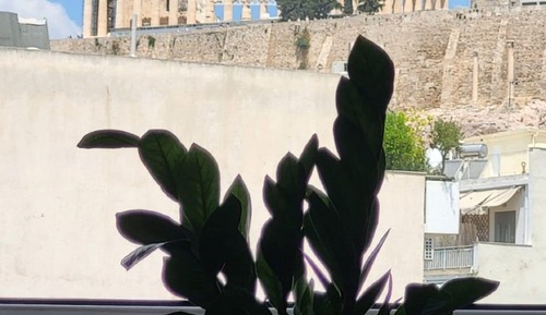Apartamento Deluxe
