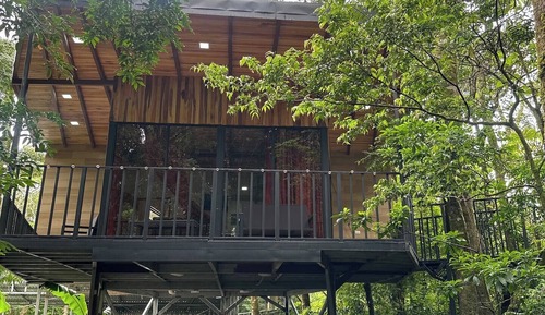 Casa romántica en un árbol