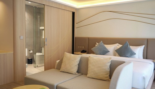 Habitación Deluxe (Plus)