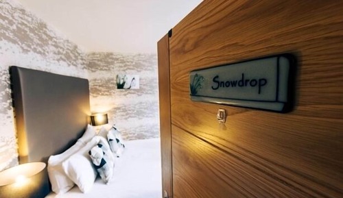 Estudio estándar, baño privado (Snowdrop)