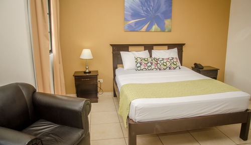 Habitación estándar, 1 cama doble