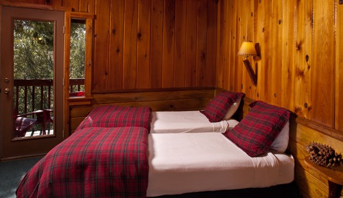 Habitación estándar, varias camas, no fumadores (Queen Twin & Twin Room - Pet Friendly)