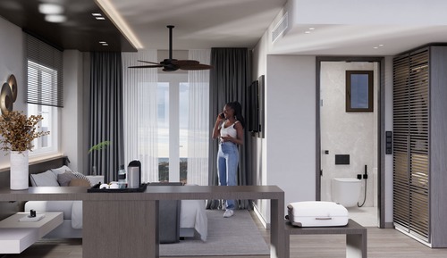 Habitación Deluxe con 1 cama doble o 2 individuales