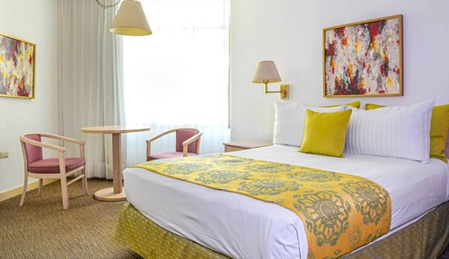 Habitación ejecutiva, 1 cama de matrimonio