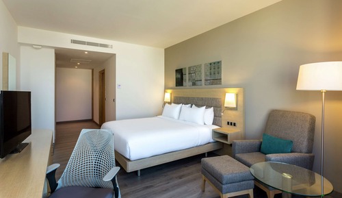Habitación, 1 cama de matrimonio grande, accesible para personas con discapacidad