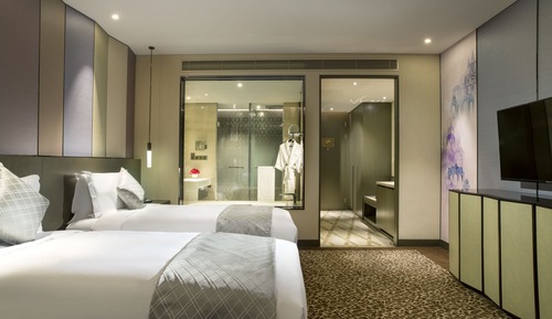 Habitación de lujo, 2 camas individuales, acceso al Business Lounge, vistas a la ciudad