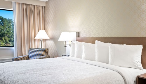 Habitación estándar, 1 cama de matrimonio grande
