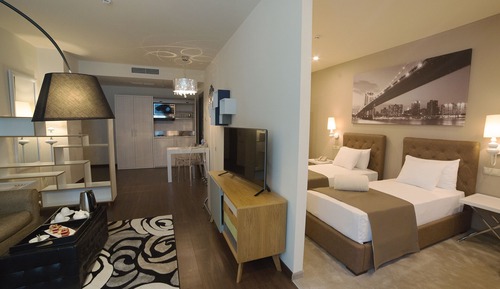 Habitación ejecutiva con 2 camas individuales