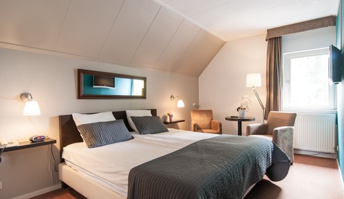 Habitación estándar con 2 camas individuales