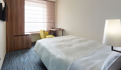 Habitación estándar doble, 1 cama doble, no fumadores (Single Use)