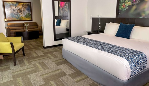 Suite estudio ejecutiva, 1 cama de matrimonio grande