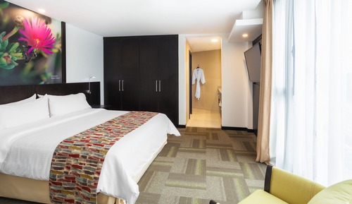 Suite ejecutiva, 1 cama de matrimonio grande