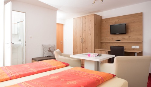 Habitación Confort doble, 1 habitación, vistas al jardín