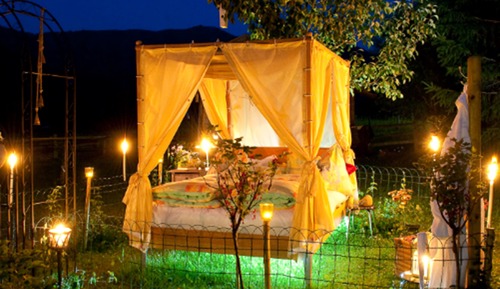 Habitación doble (garden-sky-bed (canopy bed))