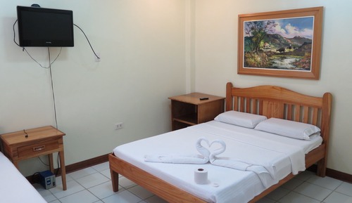 Habitación doble, vistas al jardín
