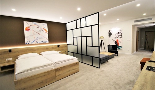 Habitación ejecutiva, 1 habitación (EXTRA)