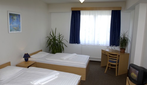 Habitación con 2 camas individuales (Extra bed)