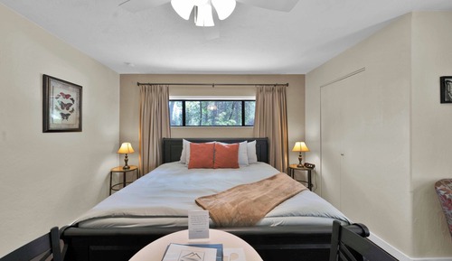 Habitación de lujo, 1 cama de matrimonio grande, bañera (Robin)