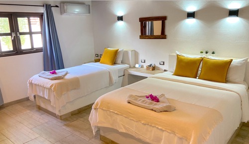 Apartamento Deluxe, accesible para personas con discapacidad, baño privado (APARTMENT 4)
