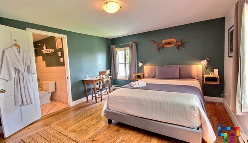 Room, 1 Queen Bed