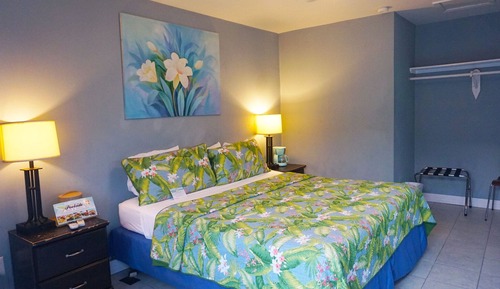 Habitación estándar, 1 cama de matrimonio grande, no fumadores