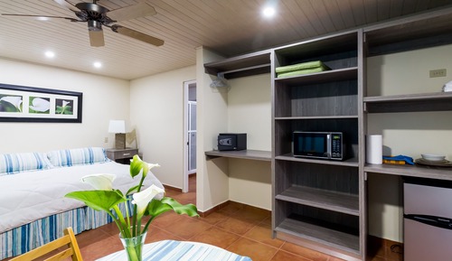 Estudio exclusivo, 1 cama de matrimonio grande, baño privado, vistas al jardín