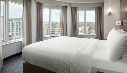 Suite estudio panorámica, 1 cama de matrimonio grande con sofá cama