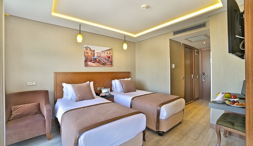 Habitación estándar con 1 cama doble o 2 individuales