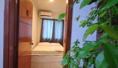 Suite estándar