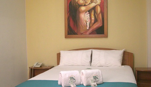 Habitación doble, vistas al jardín
